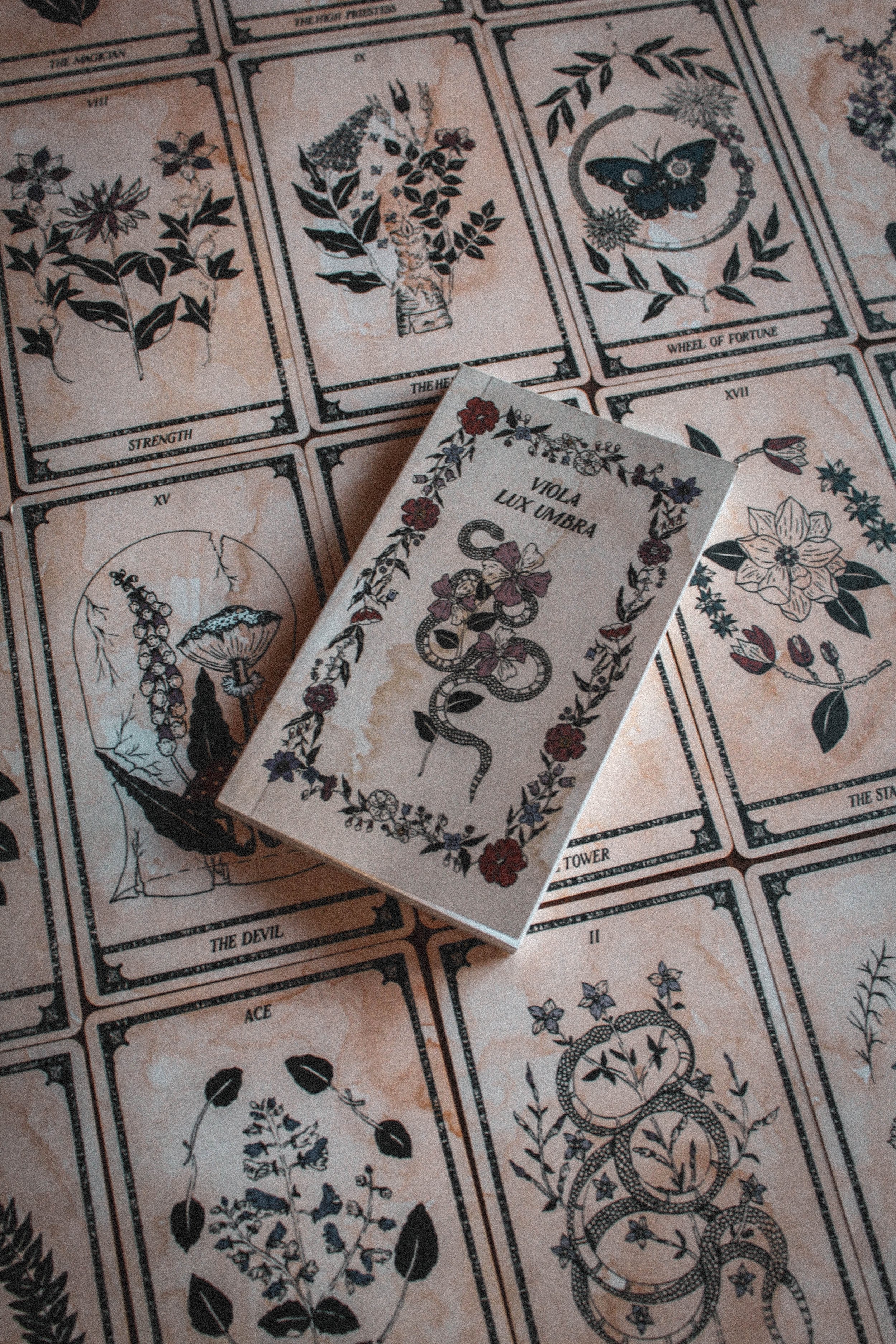Viola Lux Umbra Review — Spirit Element